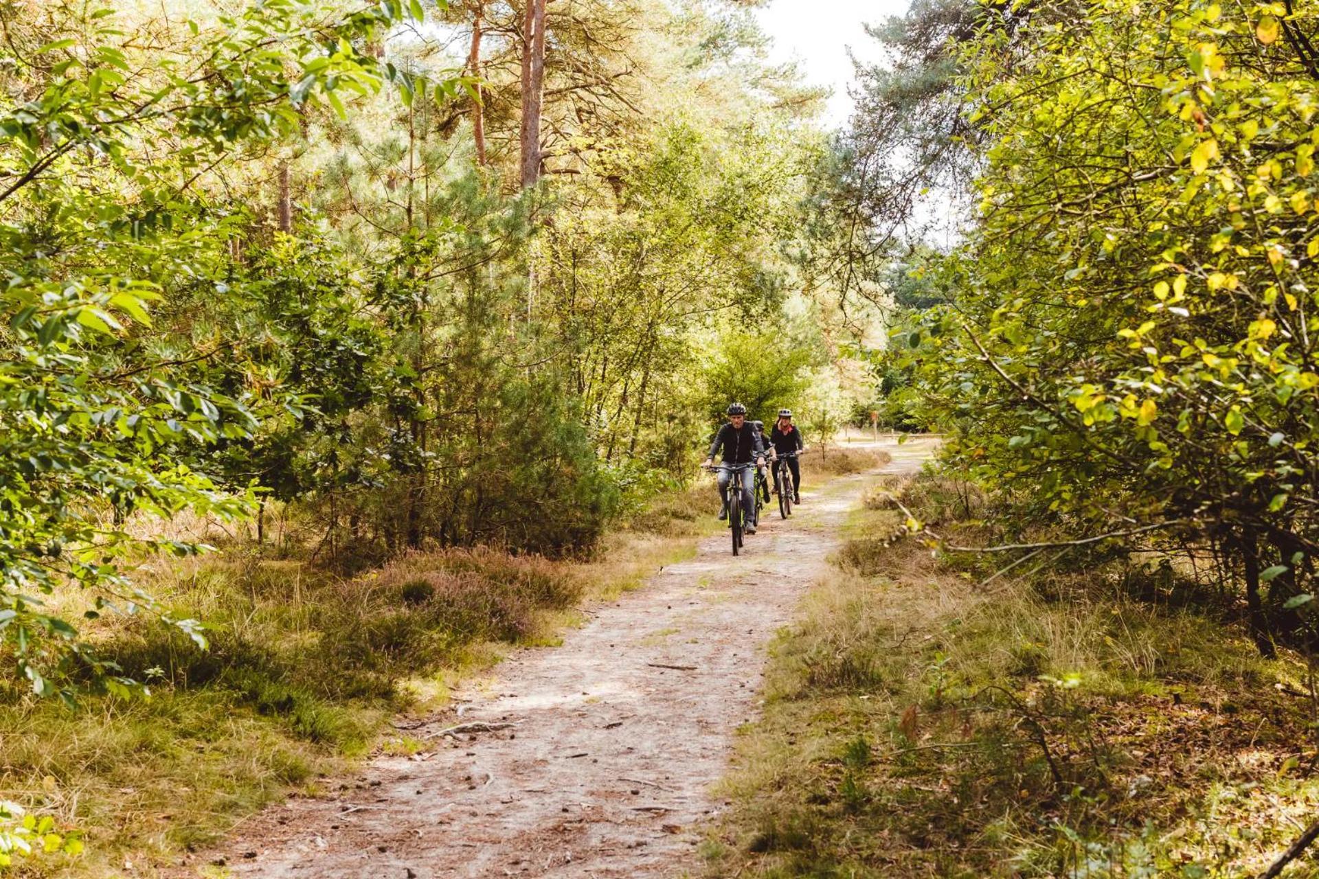 Landgoed Het Grote Zand Hooghalen Zewnętrze zdjęcie